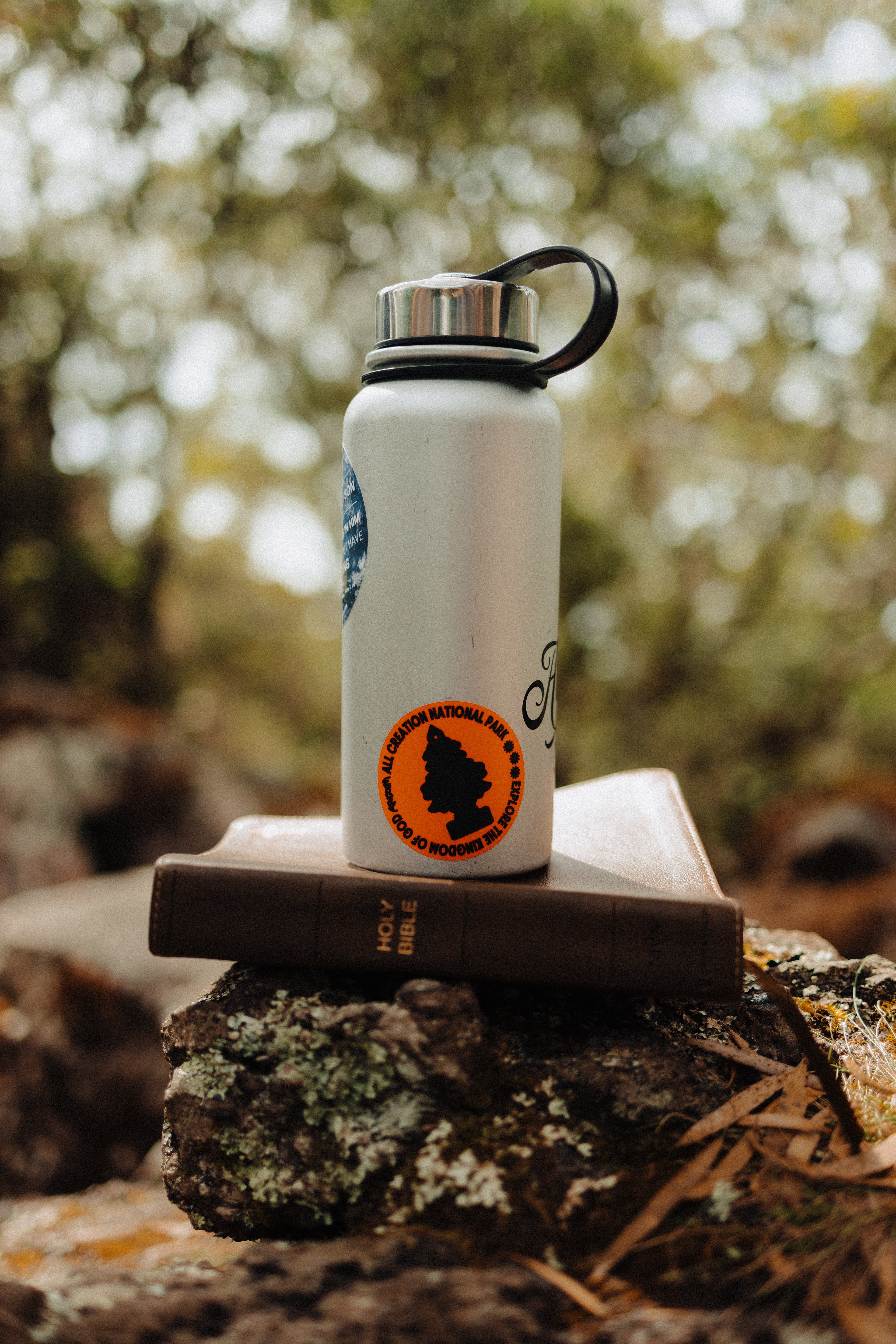 all creation national park sticker
